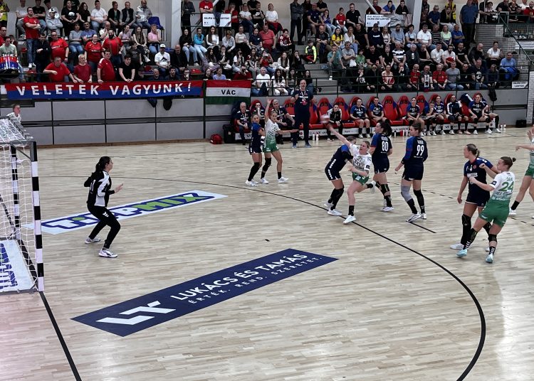 A Váci Városfejlesztő Kft. heti beszámolója