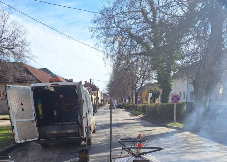 A Váci Városfejlesztő Kft. heti beszámolója