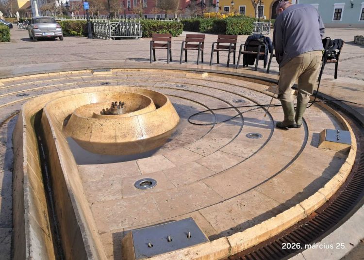 A Váci Városfejlesztő Kft. 13. heti beszámolója