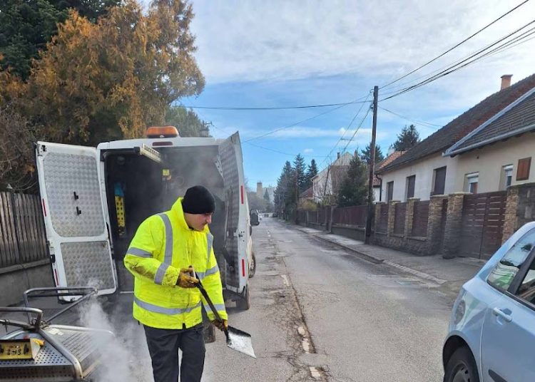 A Váci Városfejlesztő Kft. heti beszámolója