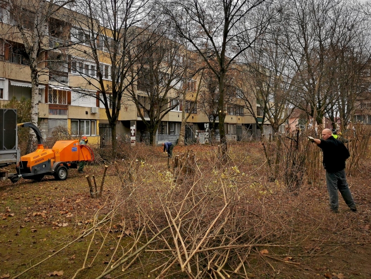 Rendezett lett a deákváriak kedvelt parkja