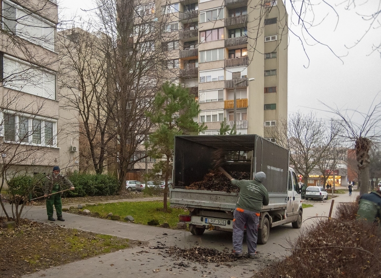 A lakótelepeken már a héten végeznek a lombtakarítással