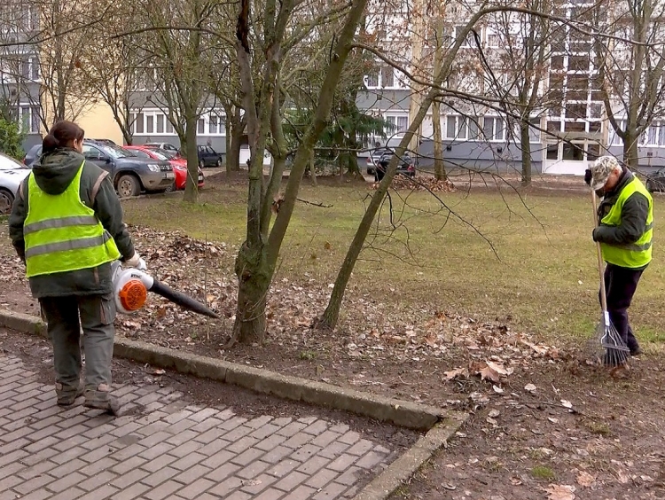 A deákvári lakótelepekrõl is szállítják a faleveleket