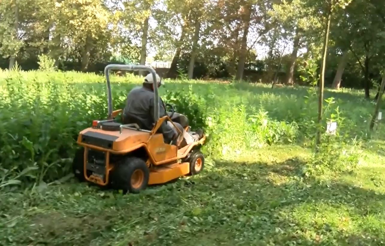 Fűnyíró kisgép segíti a munkát