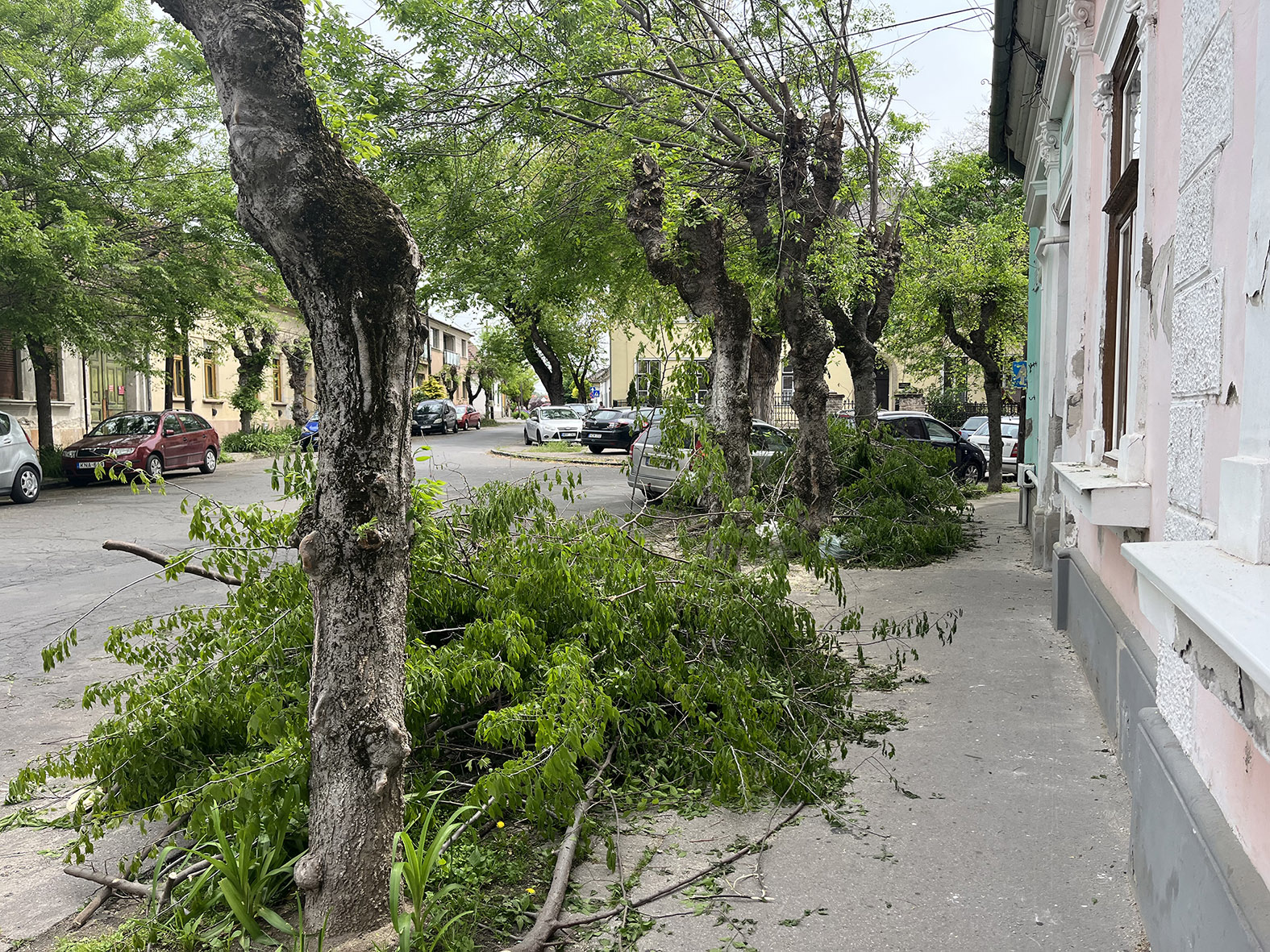 Gallyazzák a vezetékhez közeli fákat a közterületeken