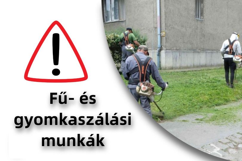 Tájékoztató a 38. hétre ütemezett fű- és gyomkaszálási munkákról