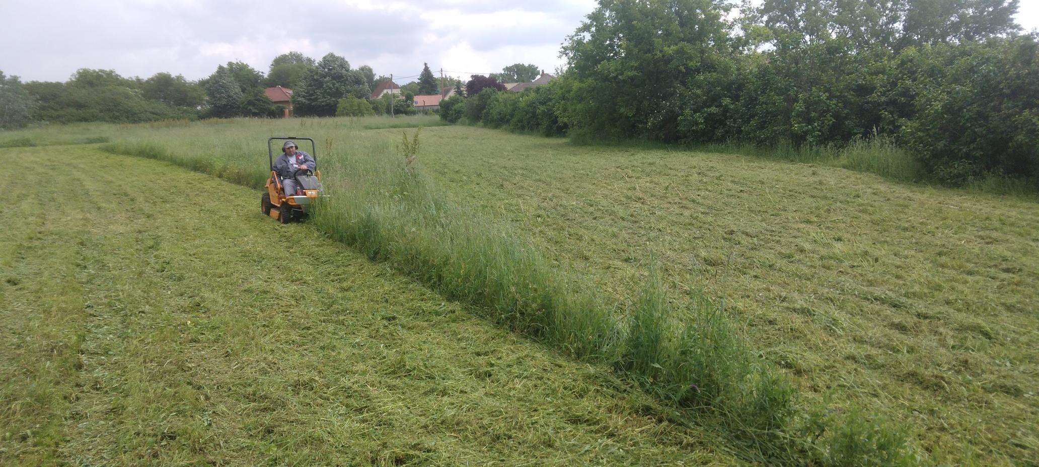 Szépül a város: kátyúzás, ivókút beüzemelés, fűkaszálás