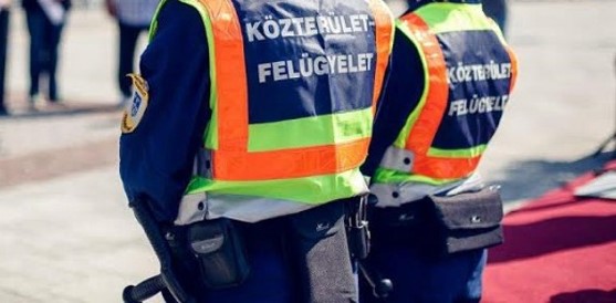 Körözött személy elfogása közterületeseink segítségével