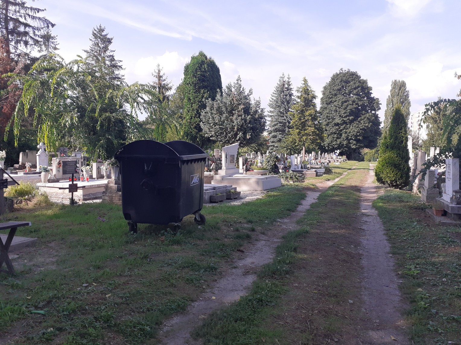 Folyamatos az alsóvárosi temető rendezése