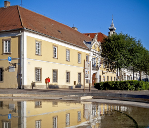 A Gazdasági és Városfejlesztési Bizottság októberi, saját hatáskörű döntései