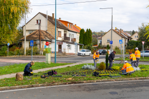Ősszel is virágba borul városunk