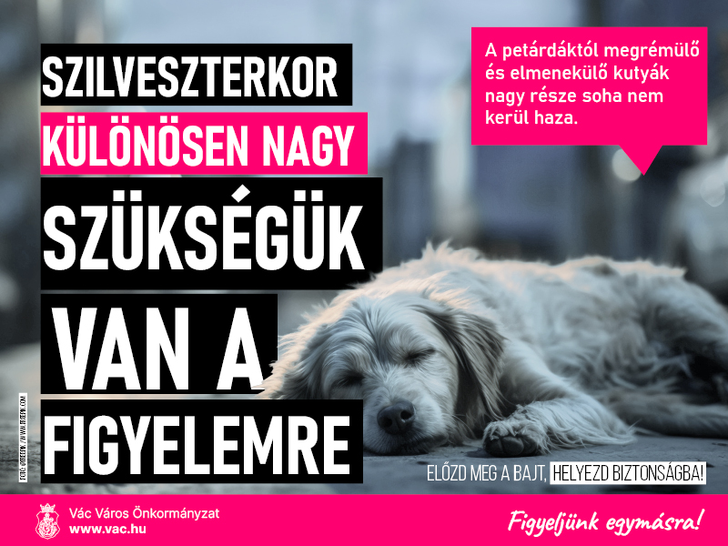 Szilveszterkor különösen nagy szükségük van a figyelemre